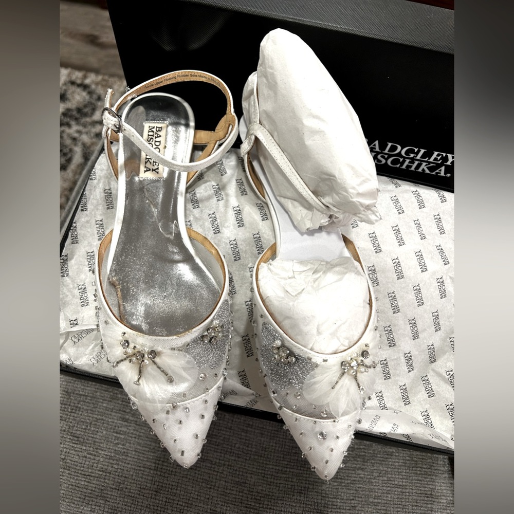 Badgley Mischka Karine Ballet Flat • Size 6